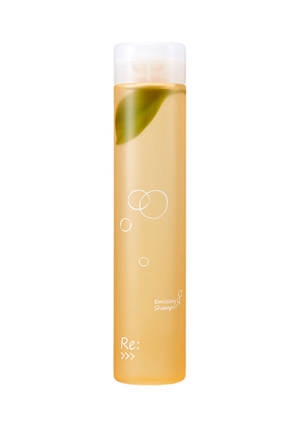 ADJUVANT（アジュバン）リ：エミサリーシャンプー